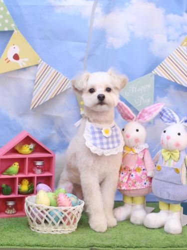 20240307ヌンくん